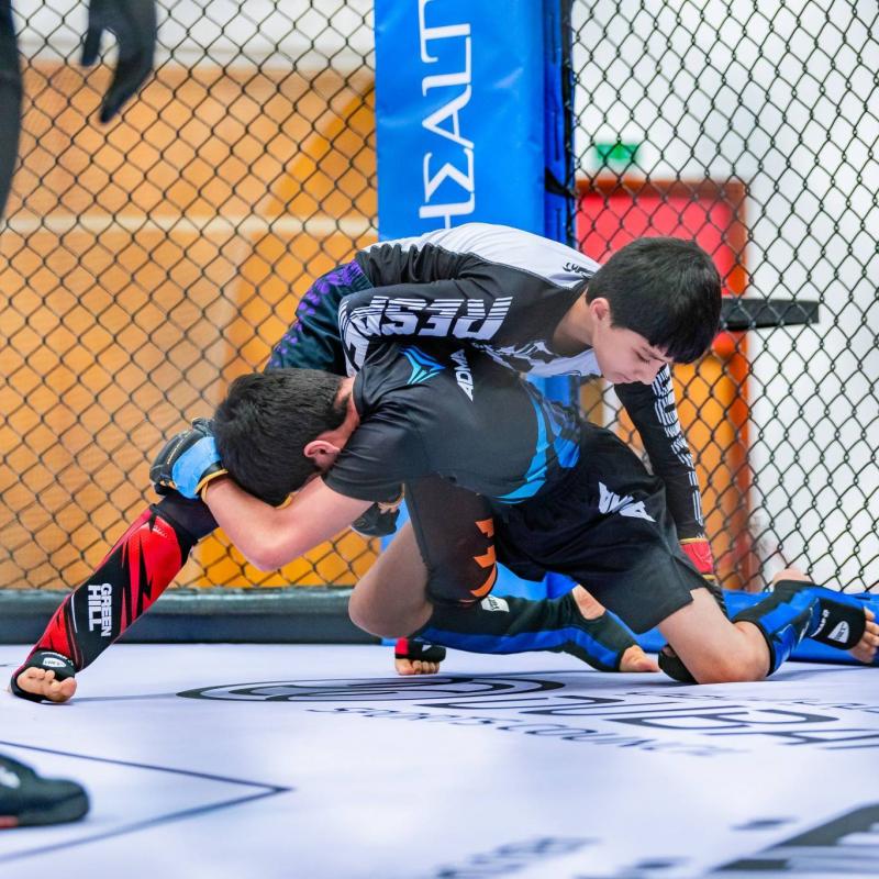 Dubai: Conclusion of the Mixed Martial Arts Championship