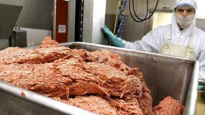 Large Brazilian Meat Company Invests in Saudi Arabia