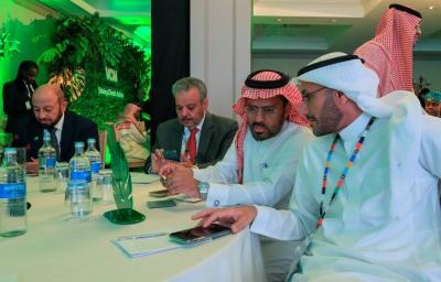 Huge Saudi Investment in Carbon Credits