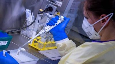 German Scientists Surprise with Findings on the Origin of Coronavirus!
