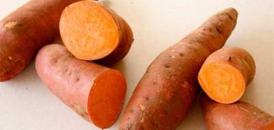A Vitamin and Antioxidant Treasure: Sweet Potatoes