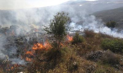 Fires Continue to Burn in the Chouf Region with Widespread Civil Defense Mobilization