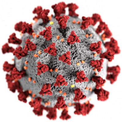 Chinese Scientist Reveals Coronavirus Sequencing: His Story in Detail