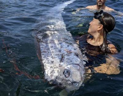 The Doomsday Fish: Where Was It Found?