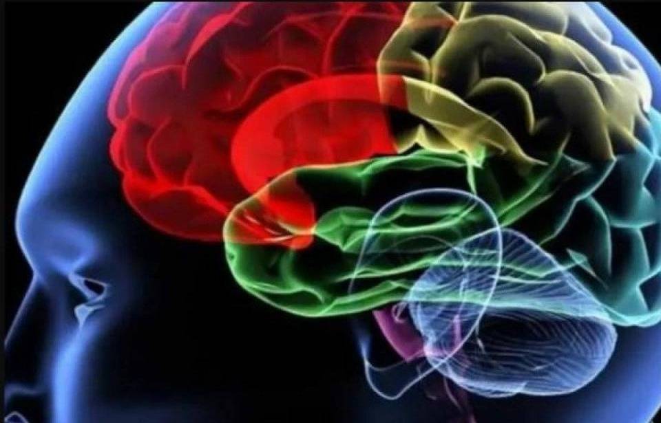 Why Do We Names? Waradana