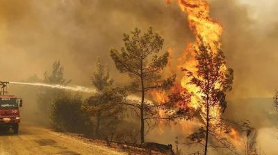 Casualties from Forest Fire in Turkey