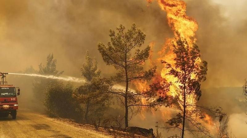 Casualties from Forest Fire in Turkey