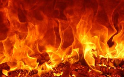 Video: Dog Starts Fire in Owner's Home