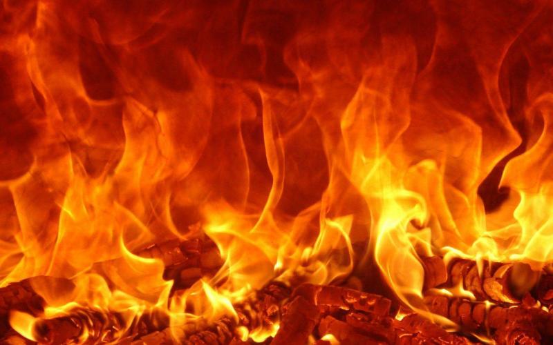 Video: Dog Starts Fire in Owner's Home