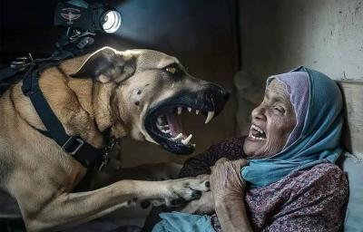 "They Assaulted Us with Dogs"... Testimonies of Palestinians in Israeli Prisons!