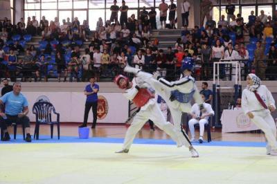 Results of the South Korean Ambassador's Taekwondo Cup - Stage Two