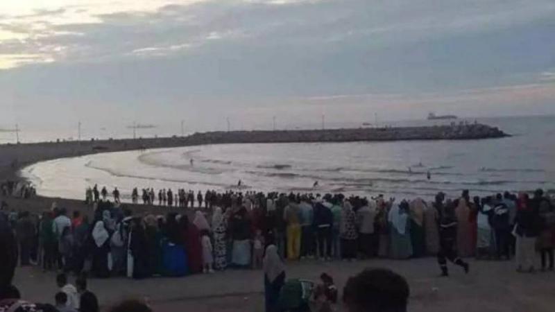 Latest Developments on the Tragedy of Children's Drowning in Algeria