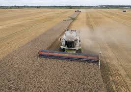 Reasons for the Early Maturity of Ukraine's Winter Crops