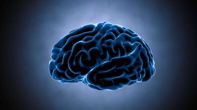 Reviving a Frozen Brain