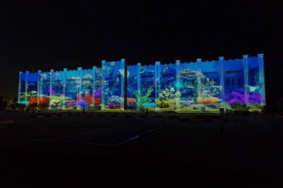 1.2 Million Visitors to the Sharjah Light Festival 2024