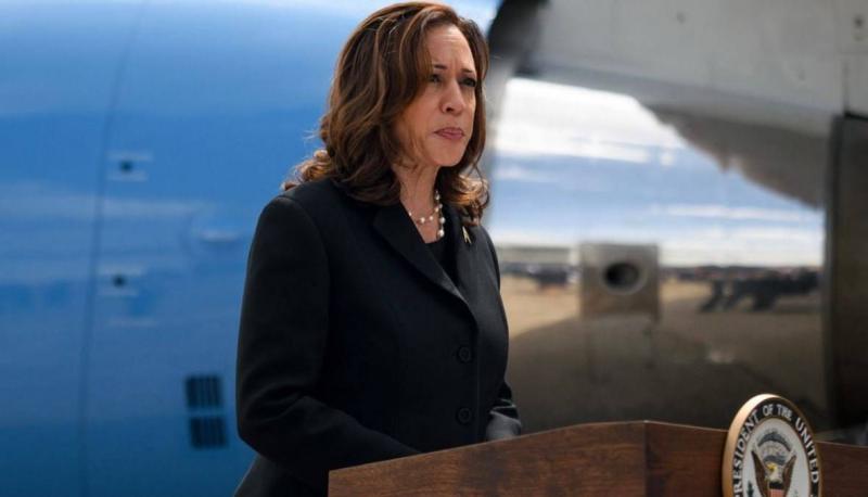 Title: Harris Secures Necessary Votes to Run for the Democratic Party