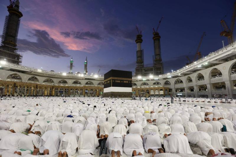 Increase in Deaths Among Regular Egyptian Pilgrims