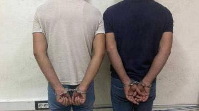 Title: Timber Theft Gang Arrested by Security Forces