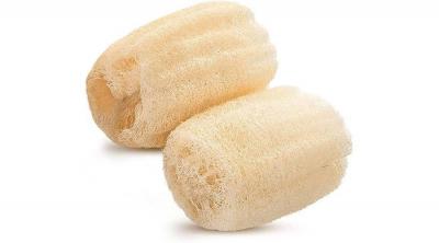 "Bacteria Reservoir": Warnings Against Using "Loofah" in Bathing