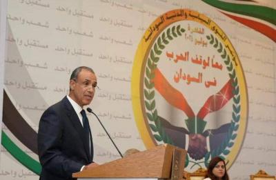 Egypt's Foreign Minister: Immediate Cessation of Conflict in Sudan is Essential