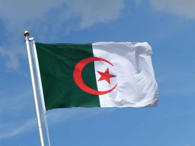 Algeria Elections: 7 Parties Announce a "Consensus Candidate" for the Presidency