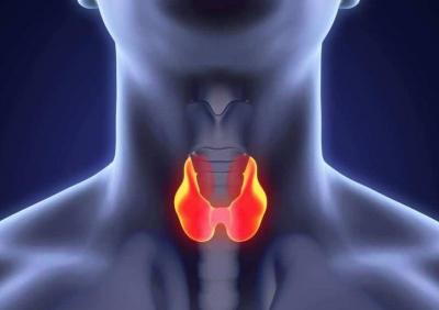 Title: Fasting and Its Effects on the Thyroid Gland