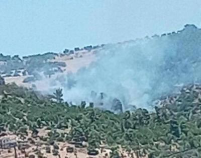Massive Fire Consumes Forests of Abu Nimer Mountain in Jordan (Video)