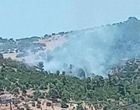 Massive Fire Consumes Forests of Abu Nimer Mountain in Jordan (Video)