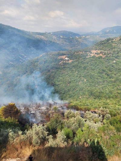 Civil Defense: Control of Fire in Bzal Forests