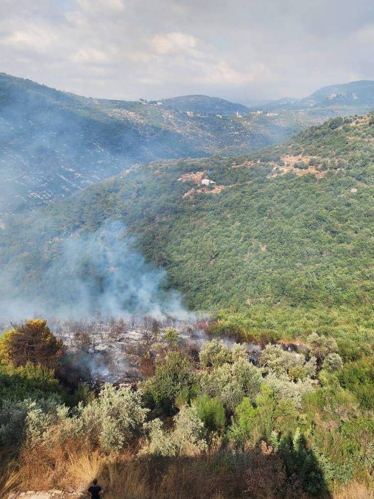 Civil Defense: Control of Fire in Bzal Forests