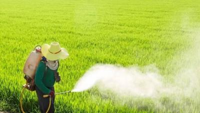 Death of a Woman Due to "Pesticides"