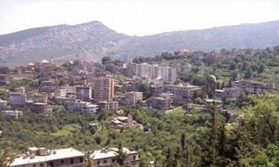 Incident and Car Vandalism in Al-Danniyeh: What Happened?
