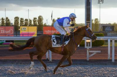 "Basso T" Wins the Wathba Cup Title