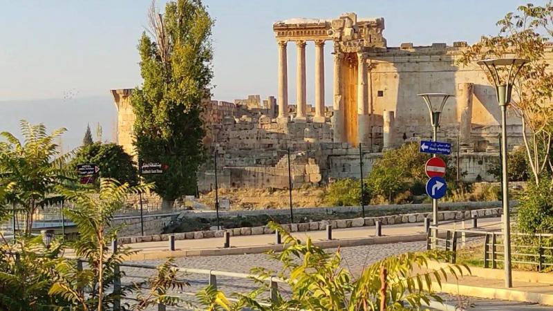 Title: Son Killed Due to Dispute: Horrific Crime in Baalbek