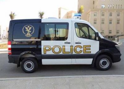Title: Egyptian Driver's Viral Video Incident