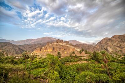 Discover the Beauty of the Traditional Saudi Village "Dhiy Ain"
