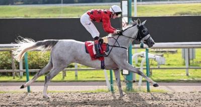 Tomorrow... The Al Wathba Cup for Arab Horses Kicks Off in Britain