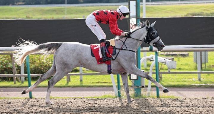 Tomorrow... The Al Wathba Cup for Arab Horses Kicks Off in Britain