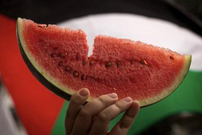 Watermelon: Delicious Taste and Enhancer of Skin Freshness