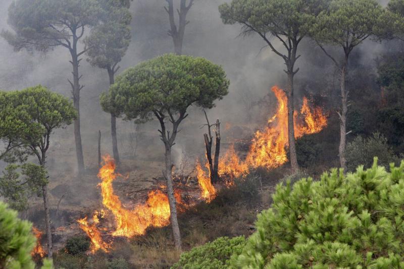 Heat Peaks Today and Tomorrow... Warnings of Fires