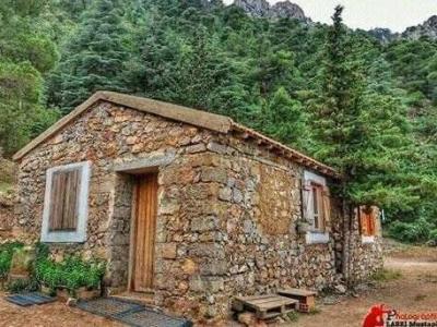Unraveling the "Witch" Mystery in Khenchela: Instilling Fear in Eastern Algeria