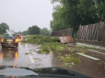 "Terrifying Scene": Lightning Strikes Tree and Reduces It to Ashes (Video)