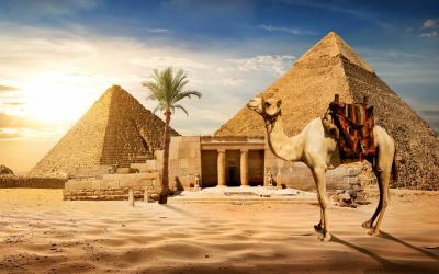 11,000 European Tourists in Trouble in Egypt After Company Bankruptcy