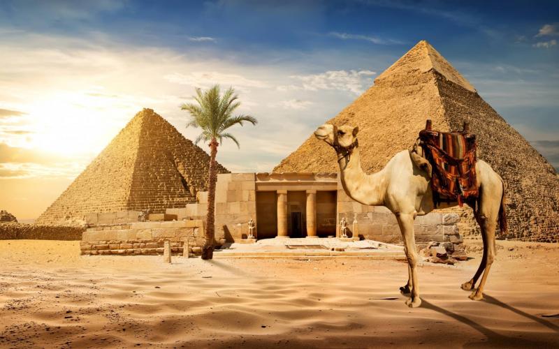 11,000 European Tourists in Trouble in Egypt After Company Bankruptcy