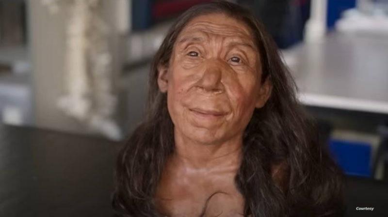 Scientists Reveal New Findings on Neanderthal Woman from 75,000 Years Ago