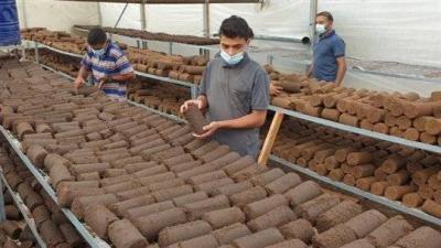 In Times of Inflation... Olive Pomace as a Means of Heating