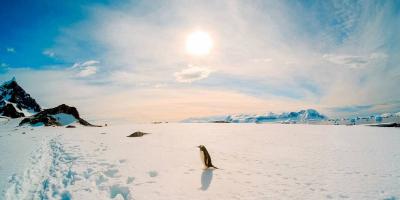 Record "Lowest Temperature" Registered in Antarctica!