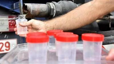 # The Spread of Cholera Raises Concerns for the Agricultural Sector