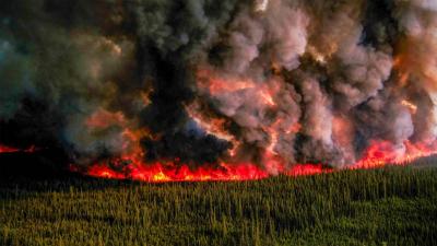Title: Canada Battles Over 800 Wildfires
