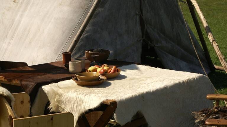 What is the Viking Diet?
